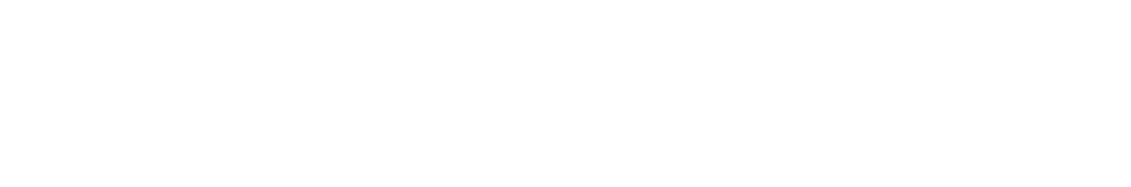 logo blanco bdemin